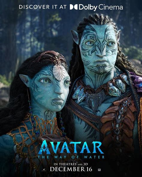 avatar: el sentido del agua torrentz|descargar avatar 1 torrent.